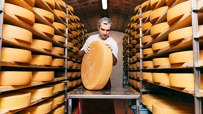 Bild enthält einen Mann, der einen runden Käse in der Hand hält