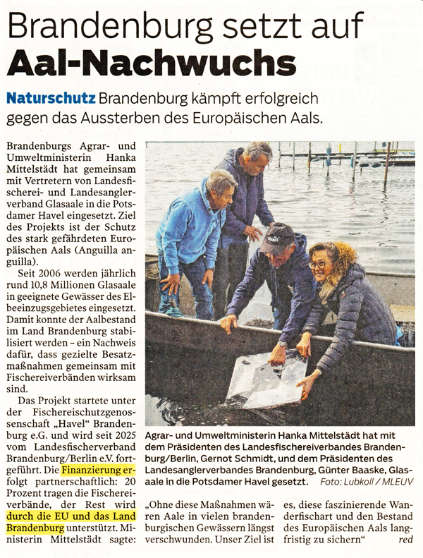 Bild zeigt einen Zeitungsartikel