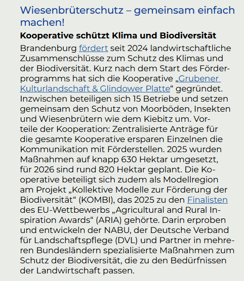 Bild zeigt einen Zeitungsartikel