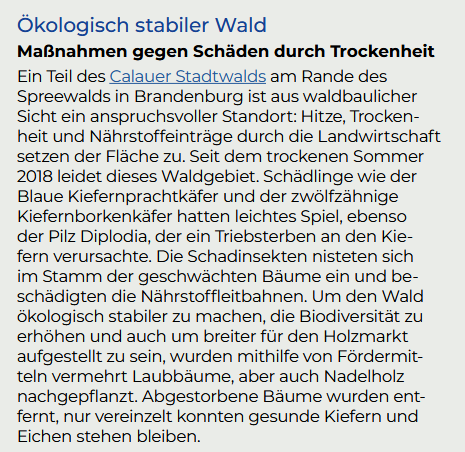Bild zeigt einen Zeitungsartikel