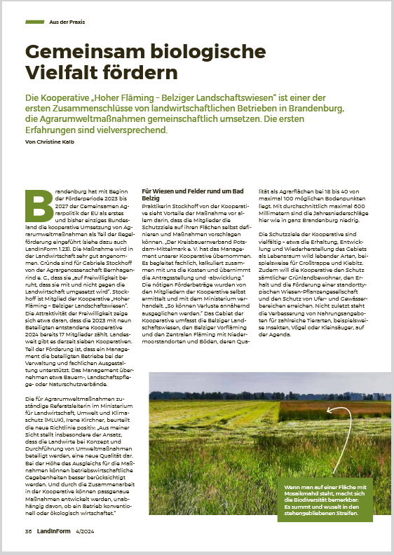 Artikel Land in Form 04/24