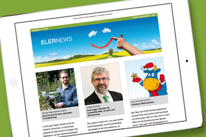 Newsletter-Teaser Newsletter-Teaser