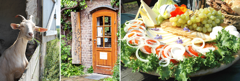 a)	Ziege mit Gras im Maul b) Eingangstür zum Hofladen und Café c) Käseplatte dekoriert mit Salat, Tomaten, Zwiebeln und Weintrauben