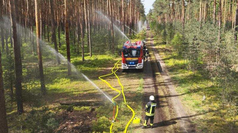 Das Bild enthält ein Kiefernwald mit Waldweg und Löschfahrzeugen bei einer Löschübung.