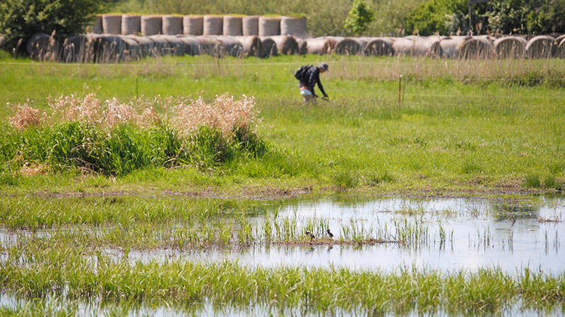 Bild zeigt einen Mann auf einer Wiese bei der Zaunpflege.