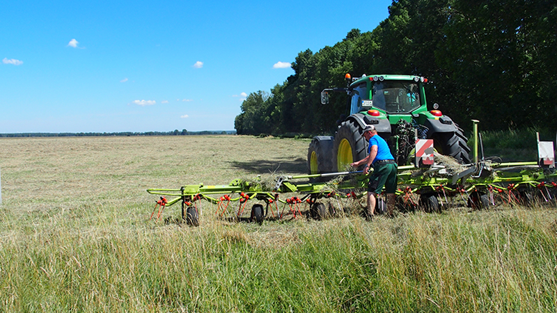 Bild enthält eine gemähte Wiese, bei der das Gras in Teilen stehen gelassen wurde.