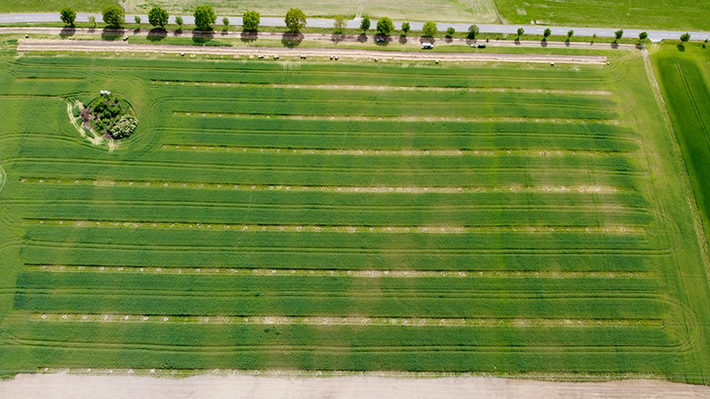 Bild zeigt ein Feld aus der Vogelperspektive.