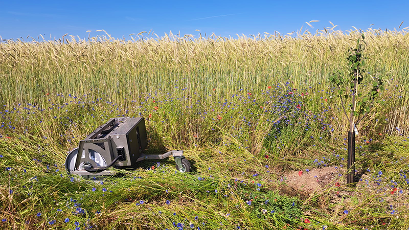 Bild zeigt einen Walzenroboter auf einem Feld