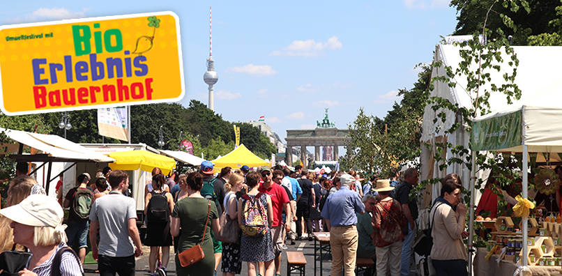 Bild enthält viele Menschen und Marktstände mit dem Brandenburger Tor und dem Berliner Fernsehturm im Hintergrund