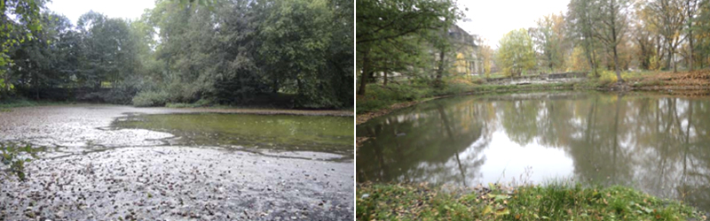 Foto links: Bild mit einem ausgetrockneten Teich und Bäumen; Foto rechts: Bild mit einem Teich, begrünten Ufern und einigen Bäumen und Schloß Börnicke im Hintergrund